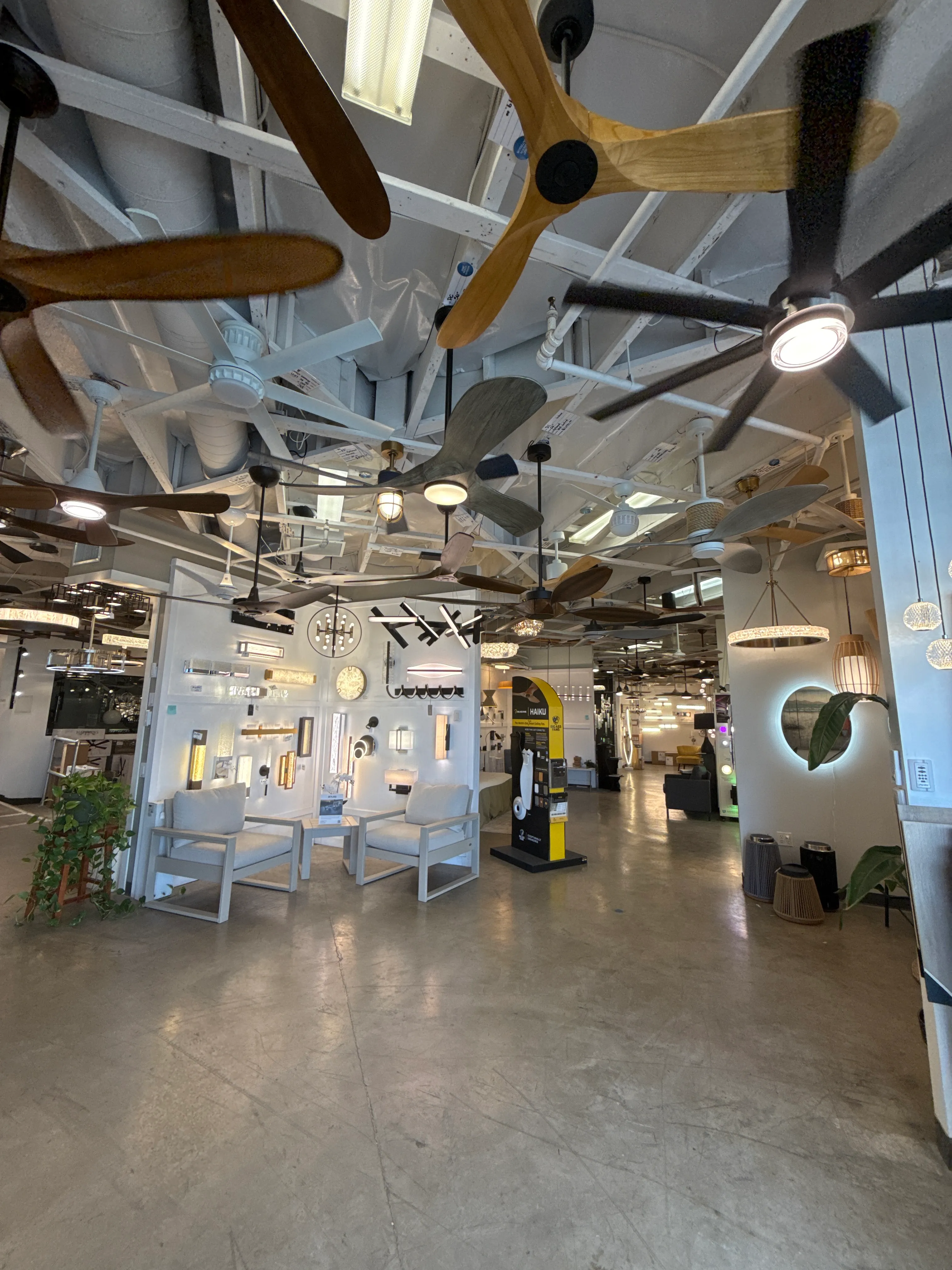 Decenas de ventiladores de techo de distintos estilos y acabados en exhibición en el showroom de Fan Diego en San Diego.